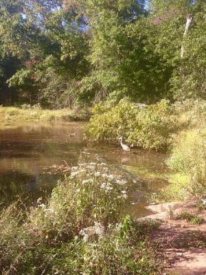 Ann Van Middlesworth Park