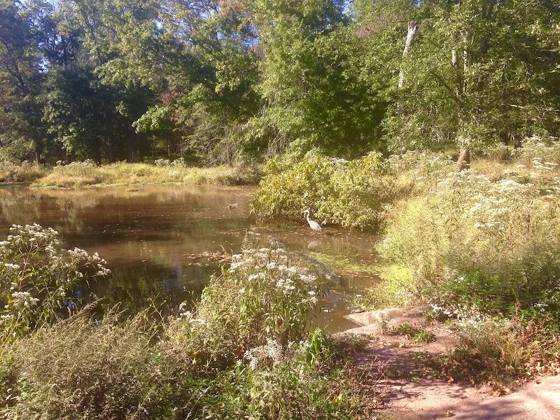 Ann Van Middlesworth Park - Hillsborough Township, NJ