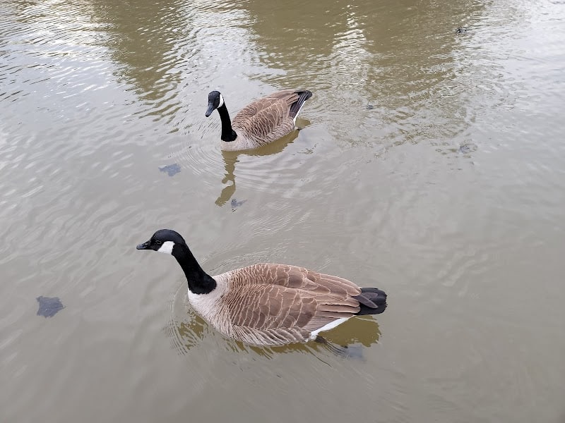 Ann Van Middlesworth Park - Hillsborough Township, NJ