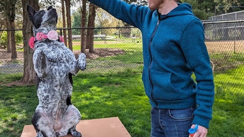 Hillsborough Dog Park - Hillsborough Township, NJ