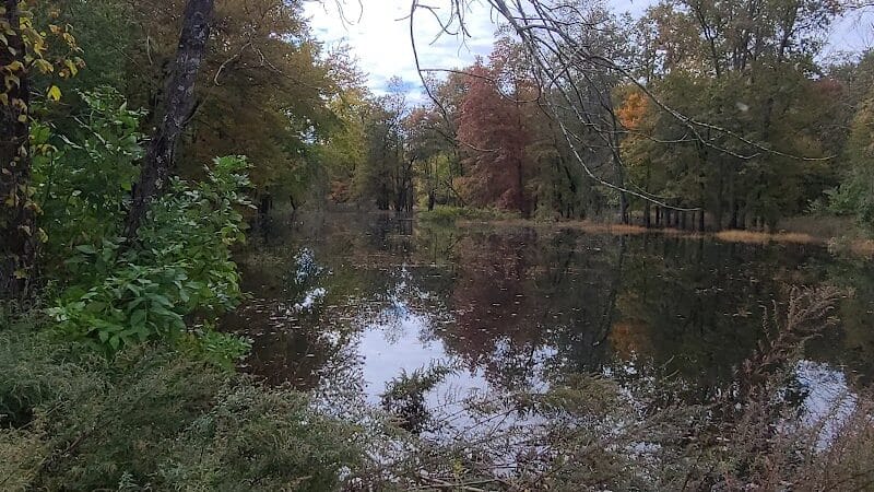 Hillsborough Dog Park - Hillsborough Township, NJ