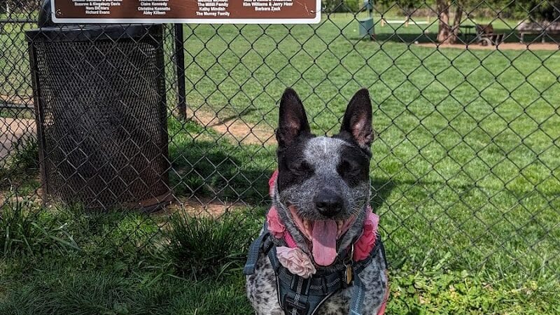 Hillsborough Dog Park - Hillsborough Township, NJ