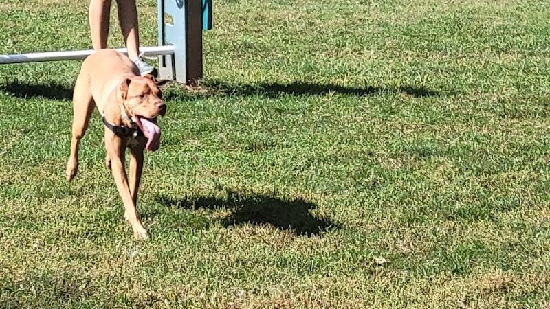 Hillsborough Dog Park - Hillsborough Township, NJ