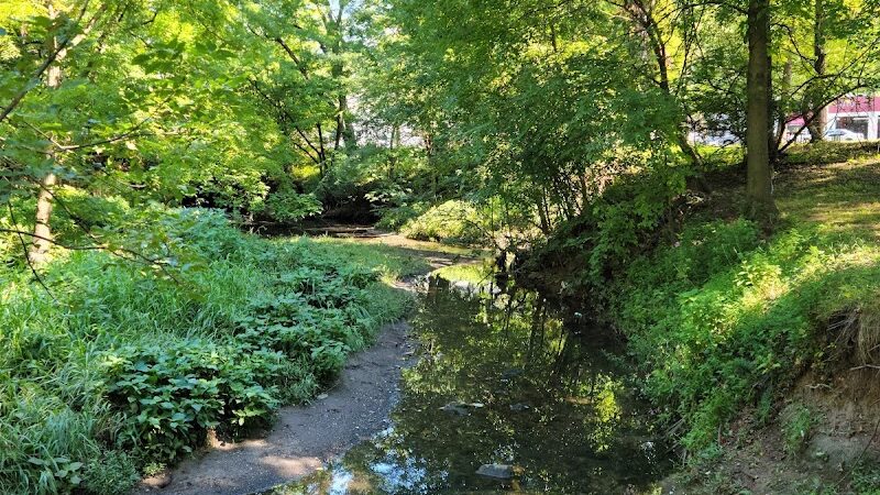 Elizabeth River Park - Hillside, NJ