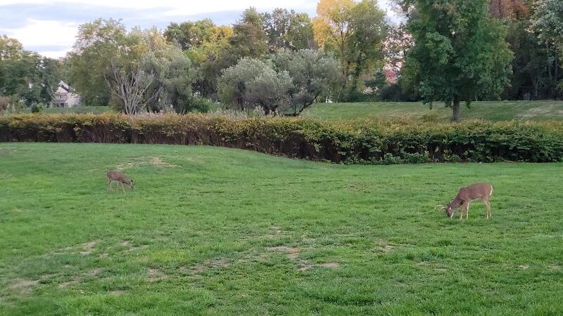 Elizabeth River Park - Hillside, NJ