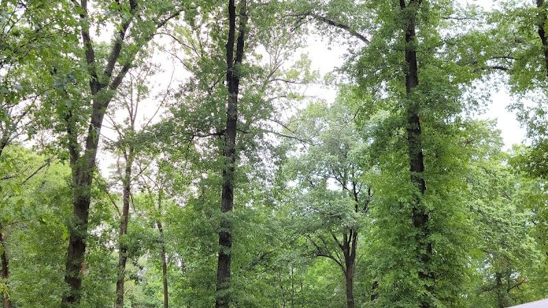 Elizabeth River Park - Hillside, NJ
