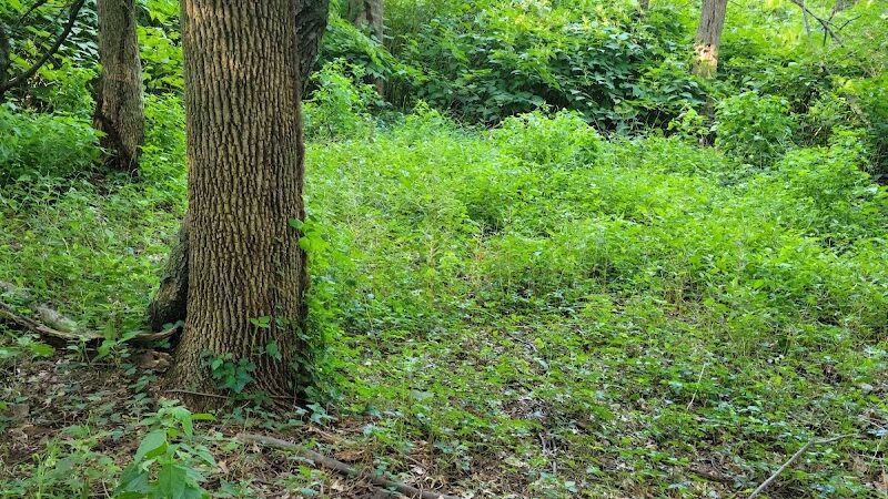 Elizabeth River Park - Hillside, NJ