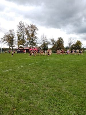 Parma Town Park