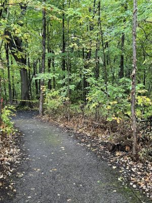 Parma Town Park