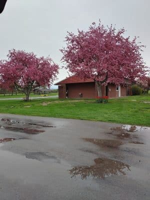Parma Town Park