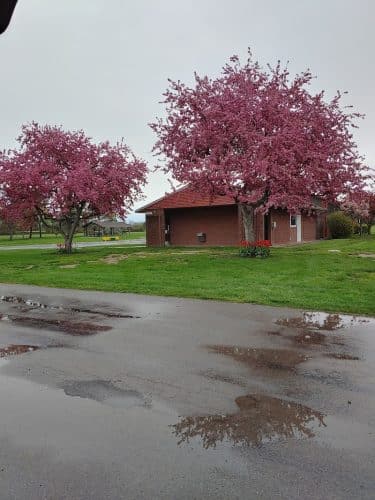 Parma Town Park