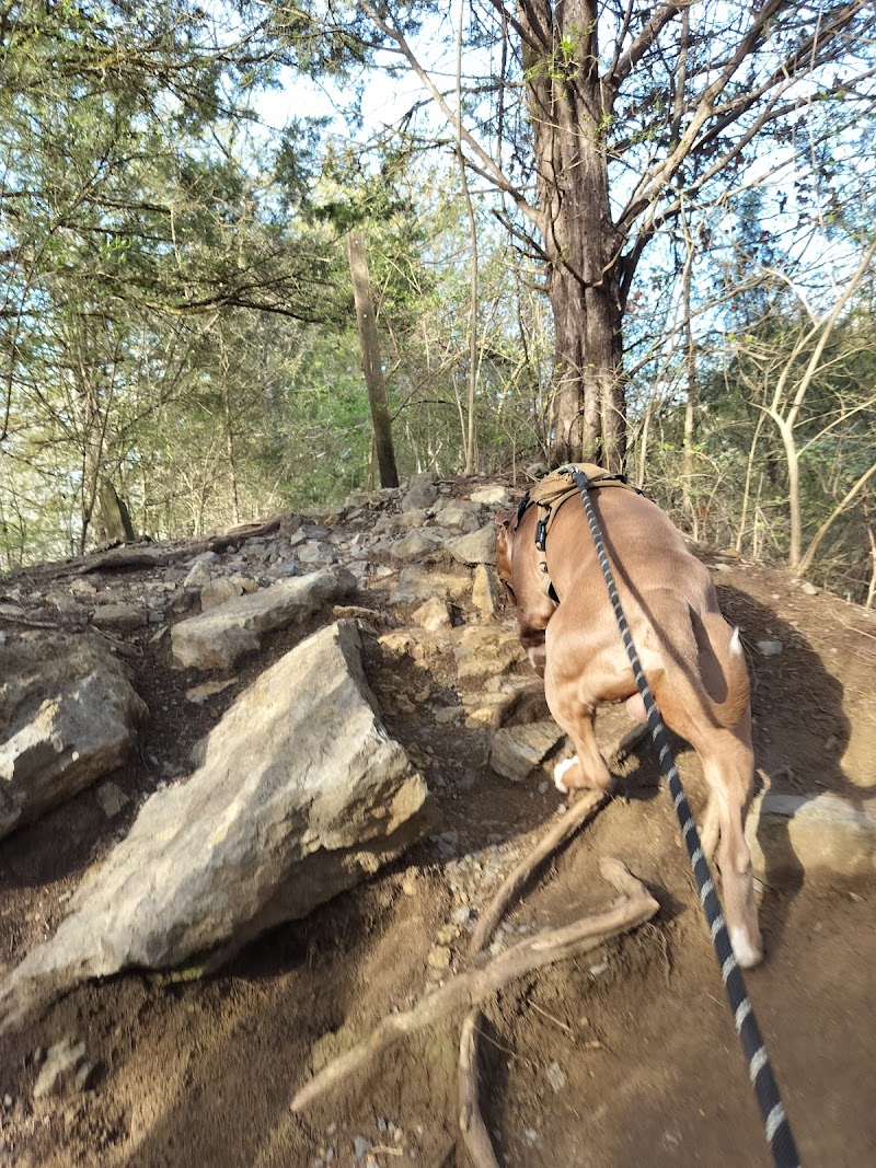 Greenway Farm Park - Hixson, TN