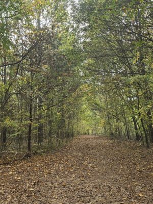 Greenway Farm Park
