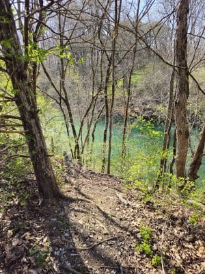 Greenway Farm Park
