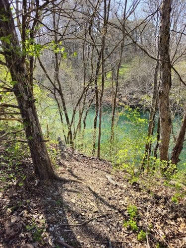 Greenway Farm Park