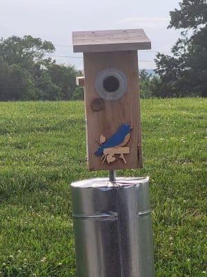Greenway Farm Park