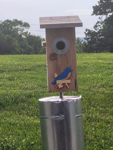 Greenway Farm Park
