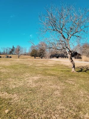 Greenway Farms Dog Park