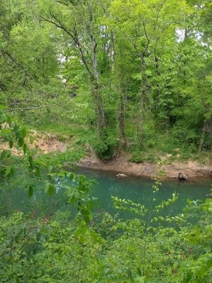Greenway Farms Dog Park