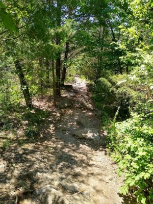 Greenway Farms Dog Park