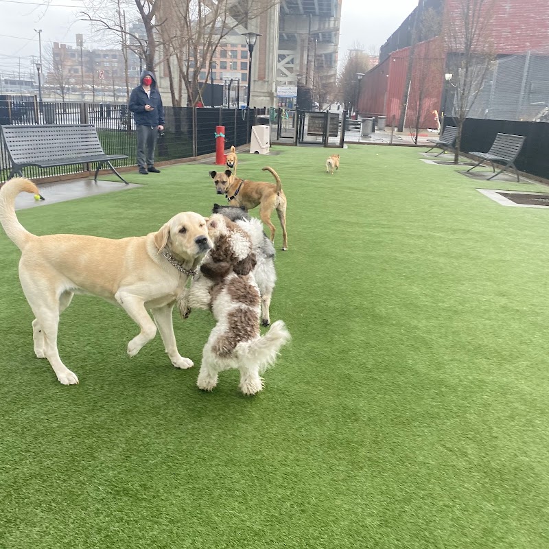 Viaduct Park Dog Park - Hoboken, NJ