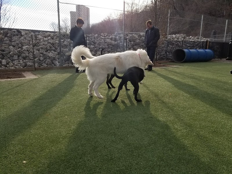 Viaduct Park Dog Park - Hoboken, NJ