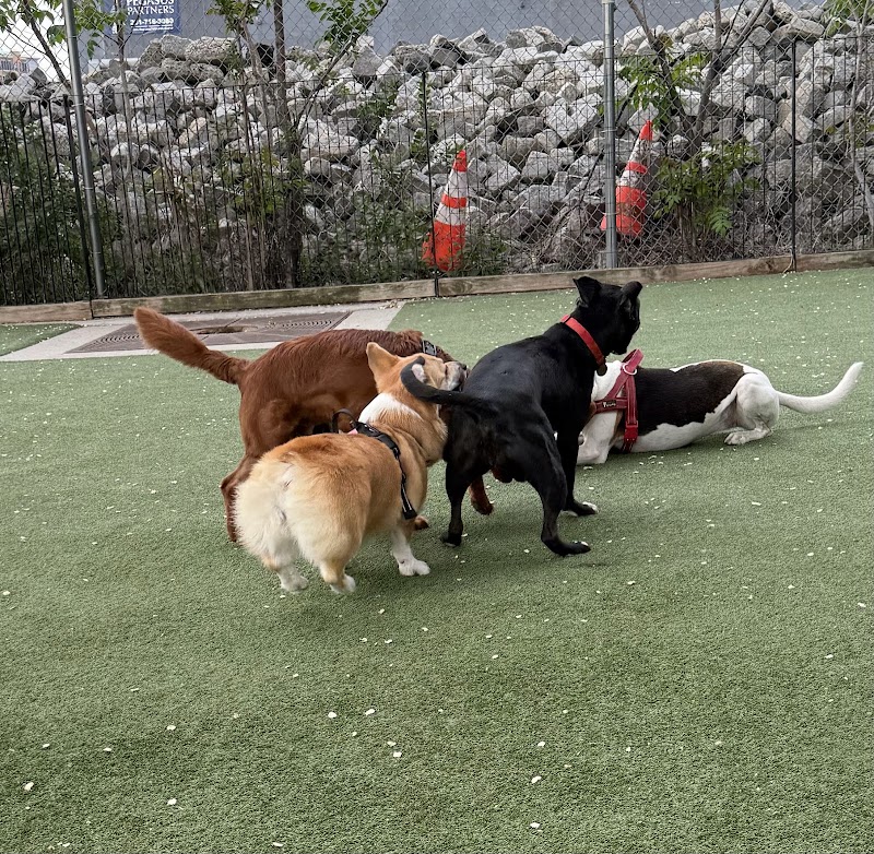 Viaduct Park Dog Park - Hoboken, NJ