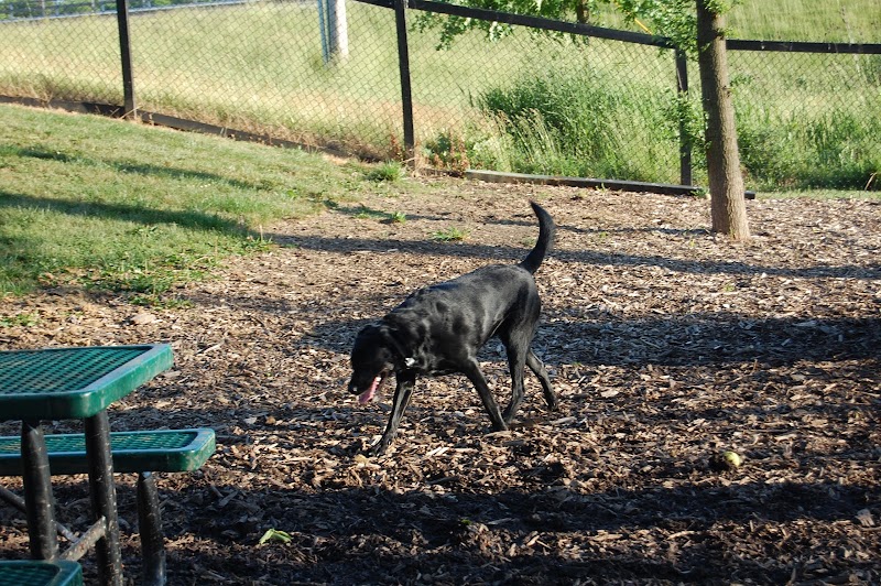 Bo's Run Dog Park - Hoffman Estates, IL