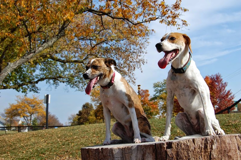 Bo's Run Dog Park - Hoffman Estates, IL