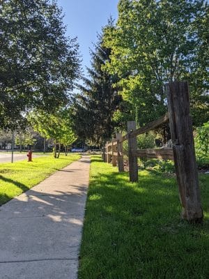 Freedom Run Dog Park