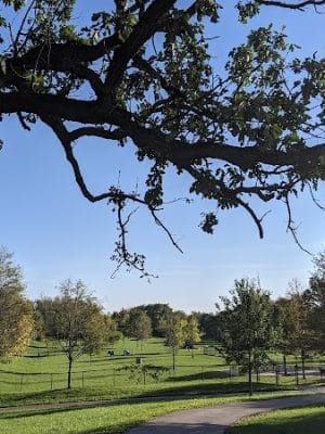 Freedom Run Dog Park