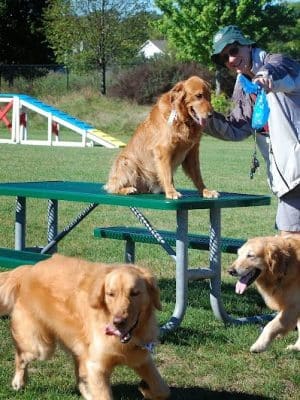 Freedom Run Dog Park