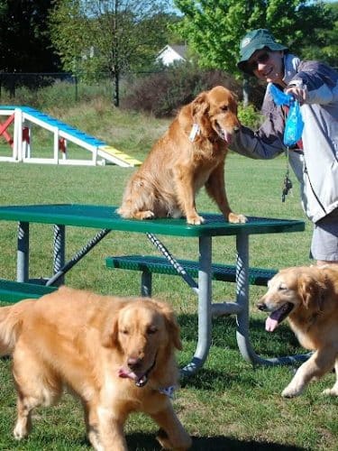 Freedom Run Dog Park