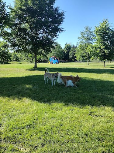 Freedom Run Dog Park