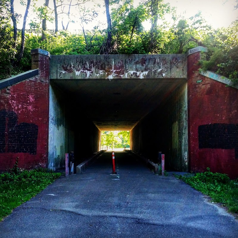 Vanderbilt Motor Parkway - Hollis Hills, NY