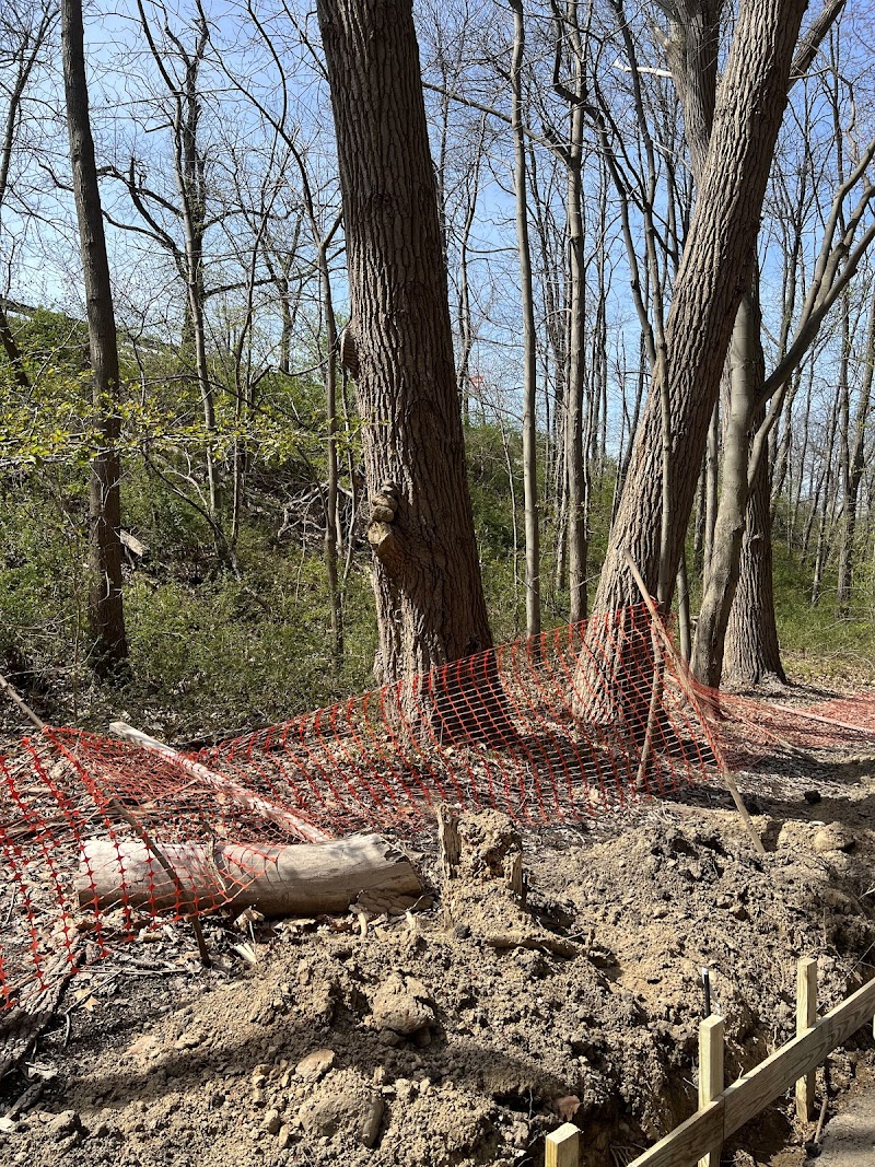 Vanderbilt Motor Parkway - Hollis Hills, NY