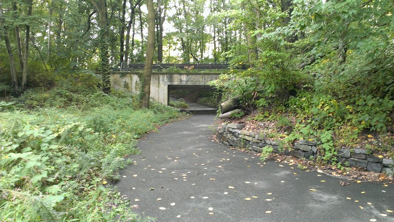 Vanderbilt Motor Parkway - Hollis Hills, NY