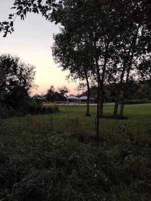 Messenger Marsh Dog Park