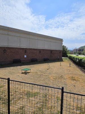 Waterfront Dog Park