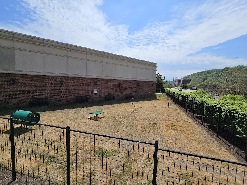 Waterfront Dog Park - Homestead, PA