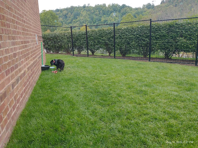 Waterfront Dog Park - Homestead, PA