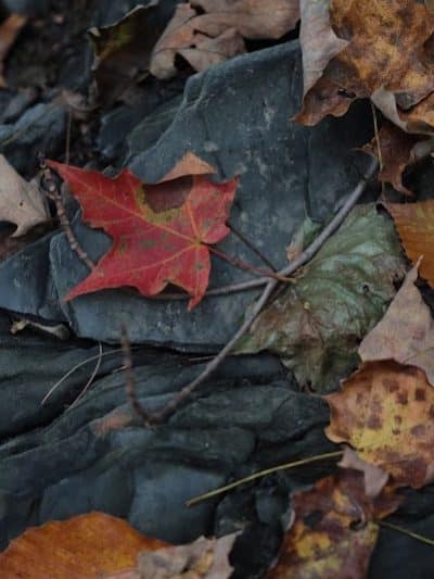 Hoosick River Greenway Access & Parking - Hoosick Falls, NY
