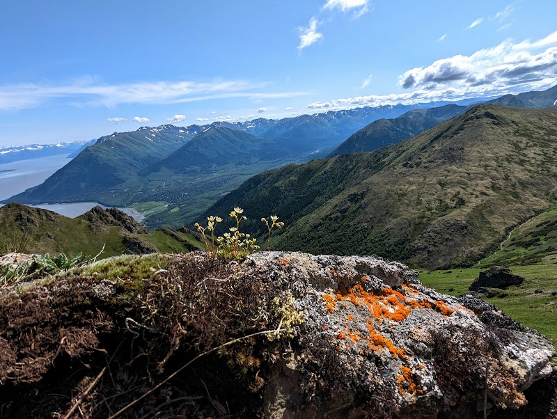 Hope Point Trail - Hope, AK