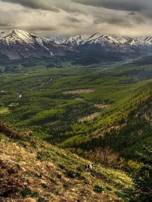 Hope Point Trail