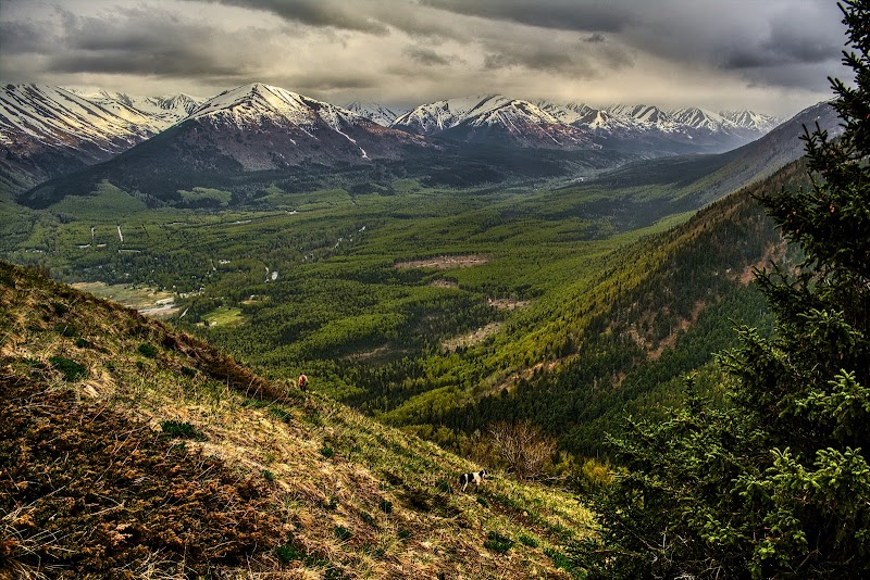 Hope Point Trail - Hope, AK