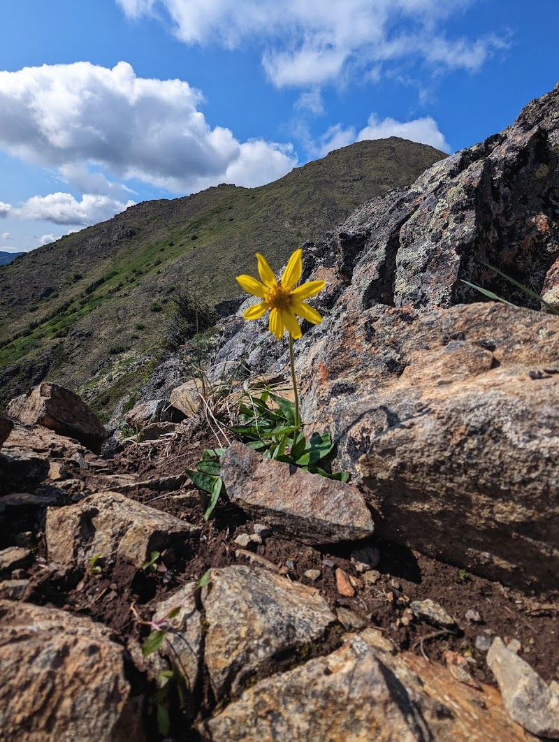 Hope Point Trail - Hope, AK
