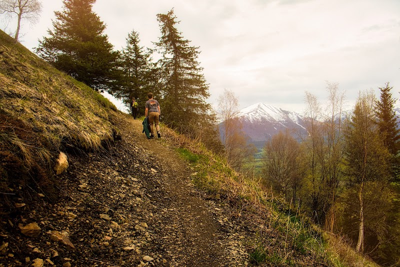 Hope Point Trail - Hope, AK