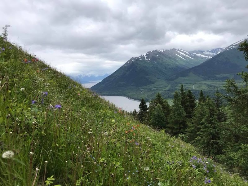 Hope Point Trail - Hope, AK