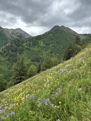 Hope Point Trail