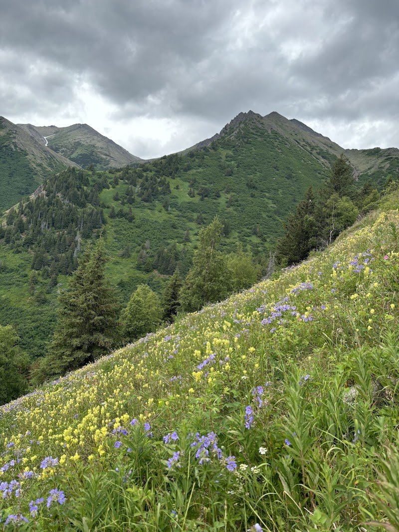 Hope Point Trail - Hope, AK